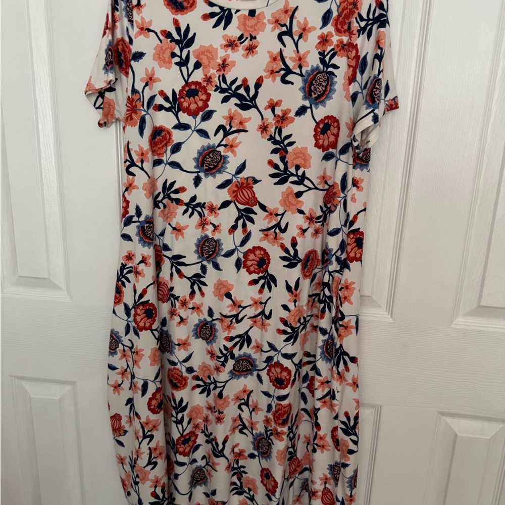 Honey and Lace Floral Maxi Dress - Red and Blue on Cream